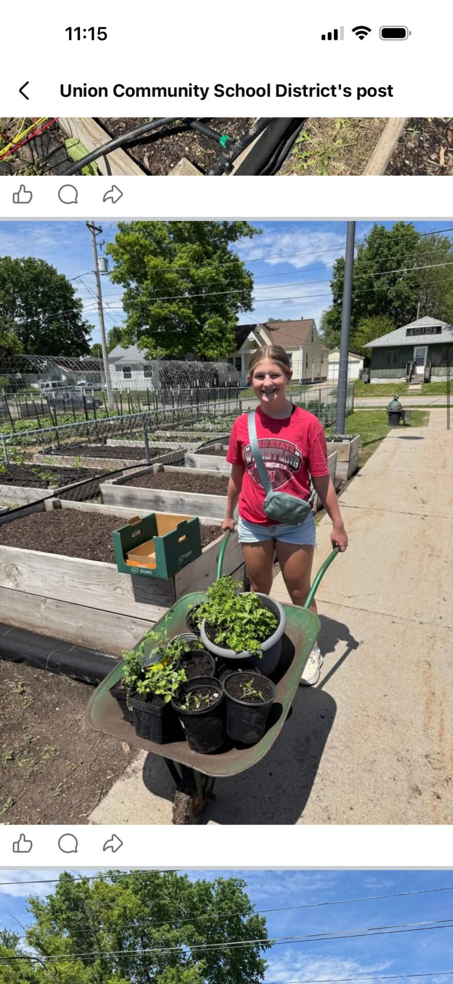 Student pushes a wheelbarrow filled with plants through a community garden on a sunny day.
