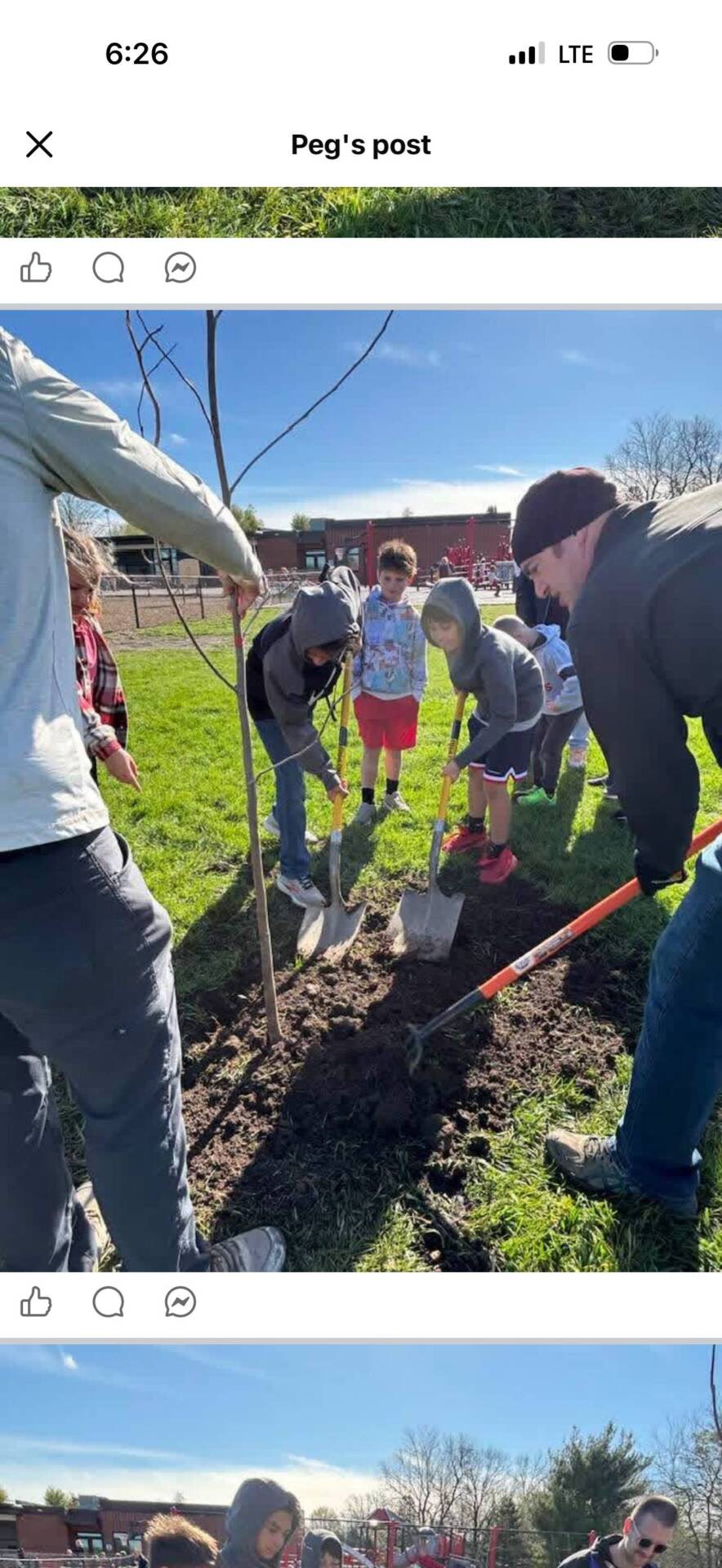 Group of children and adults shovel soil around a newly planted tree outdoors, working together in bright sunlight.