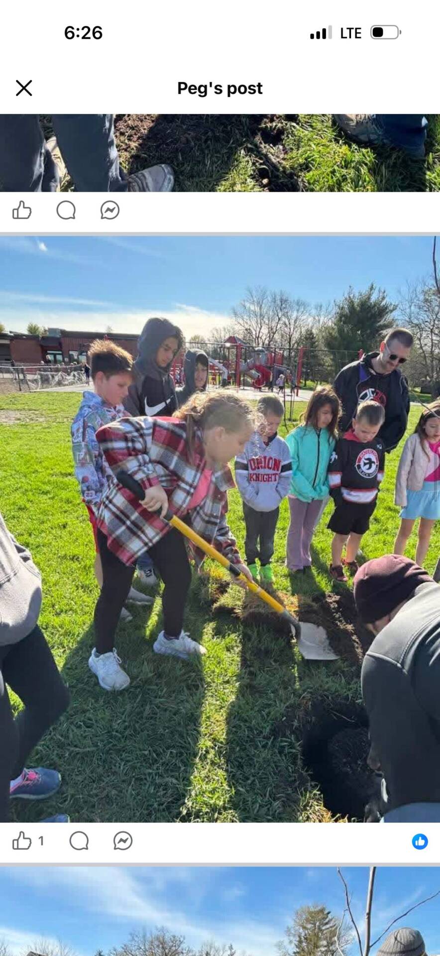 Children and adults dig in grass with shovels, planting a tree near a playground on a sunny day.