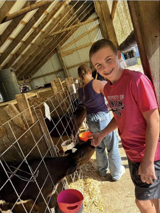 Smiling student in a red T-shirt feeds a calf through a fence inside a barn while another student tends to the animals.